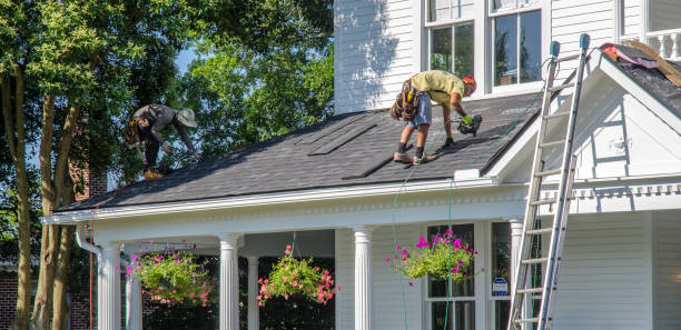 Best Roof Gutter Cleaning  in Bishopville, SC